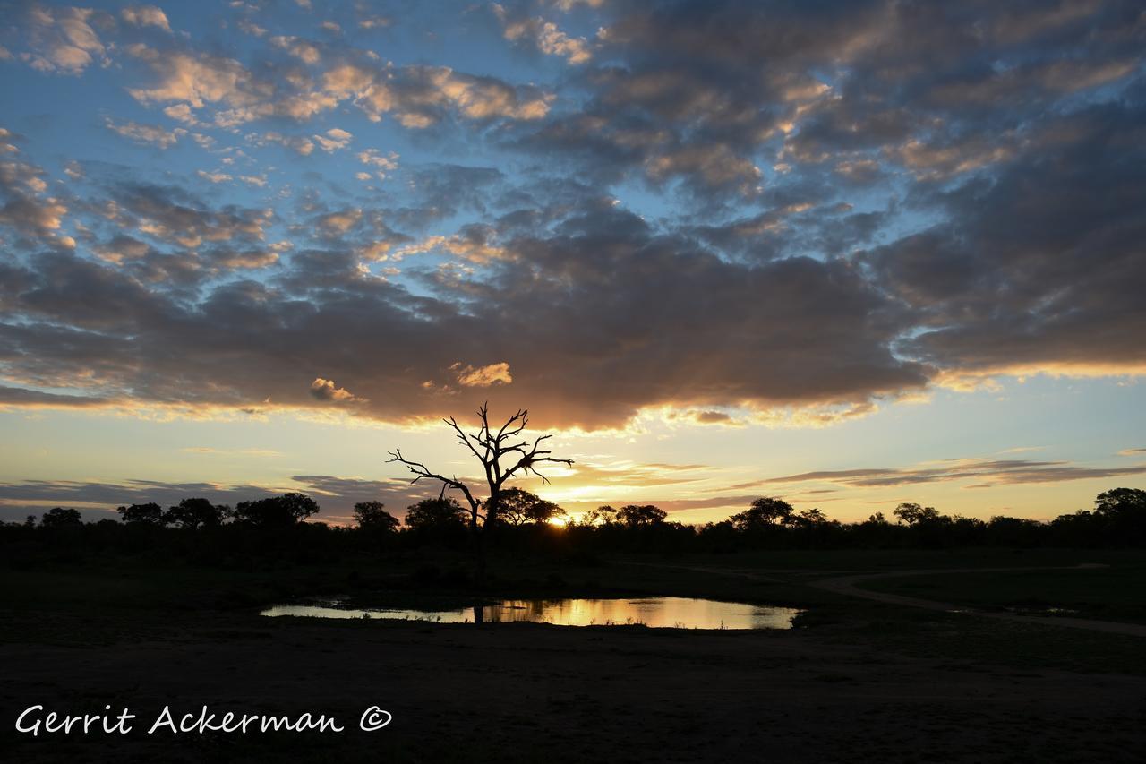 Elephant Plains Game Lodge Sabi Sand Game Reserve Exterior photo